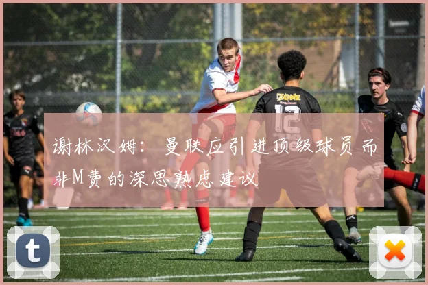 谢林汉姆：曼联应引进顶级球员而非M费的深思熟虑建议